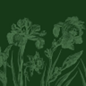 Meet your Posher, Keelin